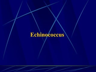 Echinococcus
 
