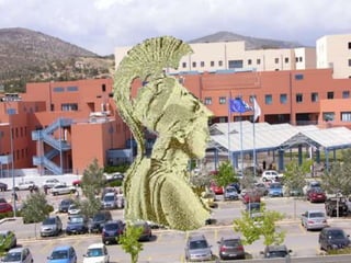 Spine infections 2009