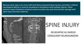 SPINE INJURY
DR.MUMTAZ ALI NAREJO
CONSULTANT NEUROSURGEON
 