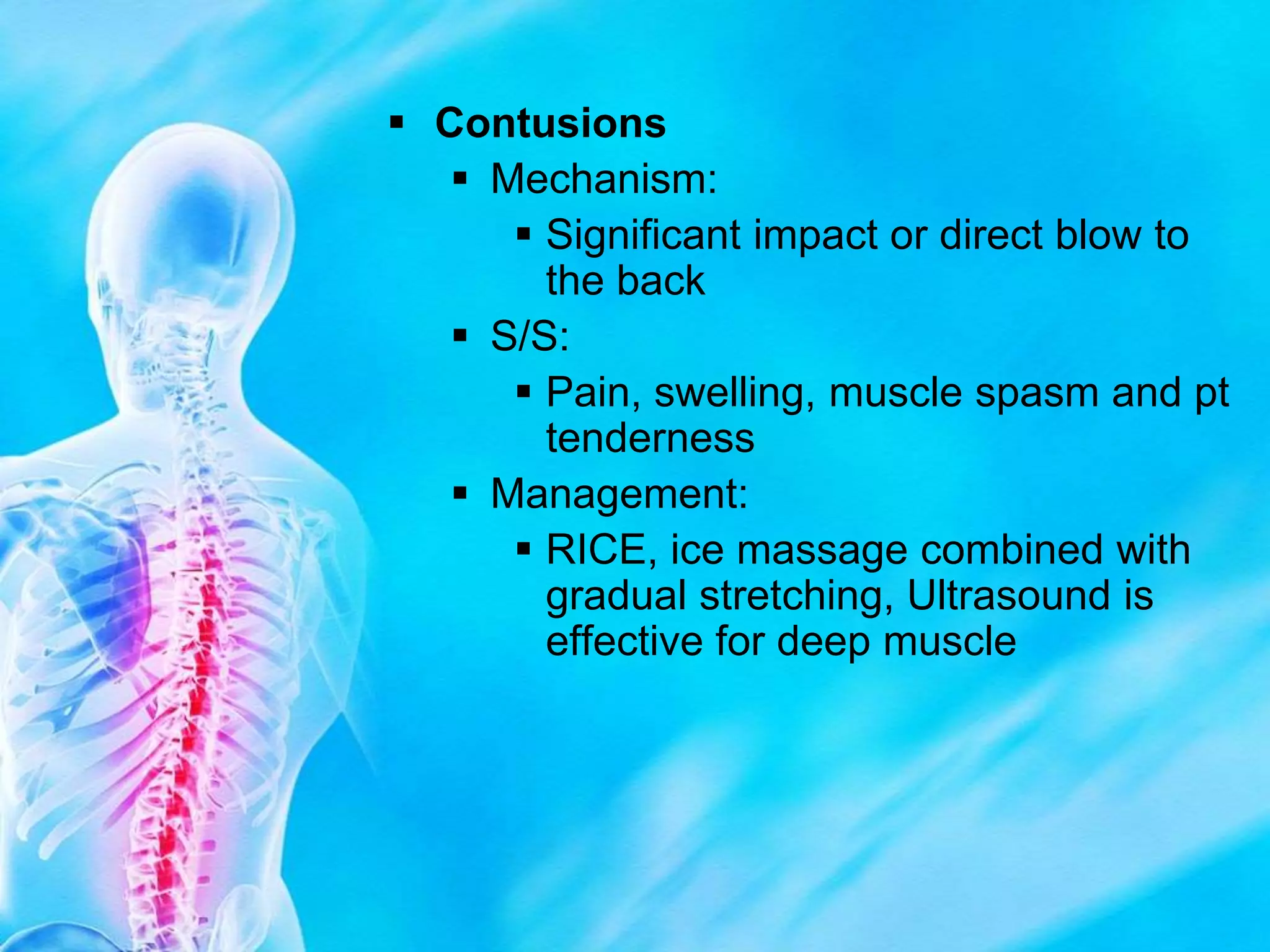Spine Powerpoint.ppt