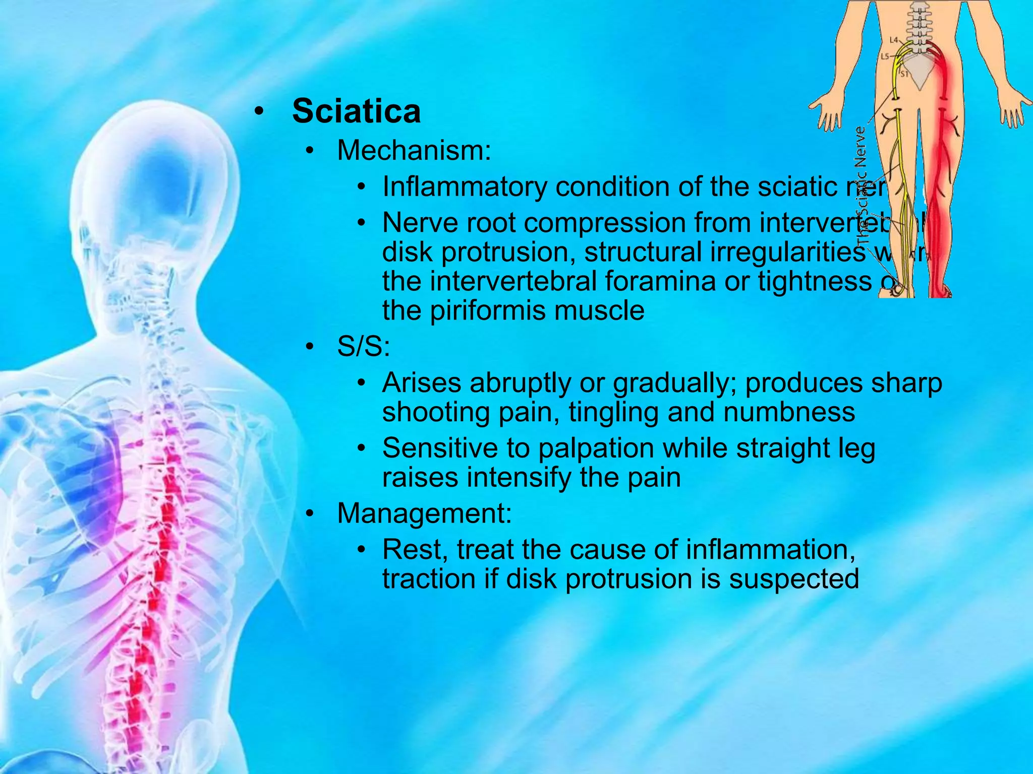 Spine Powerpoint.ppt