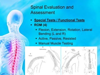 Spinal Rotation Test Spine Powerpoint.ppt