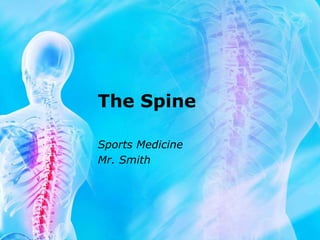 The Spine
Sports Medicine
Mr. Smith
 