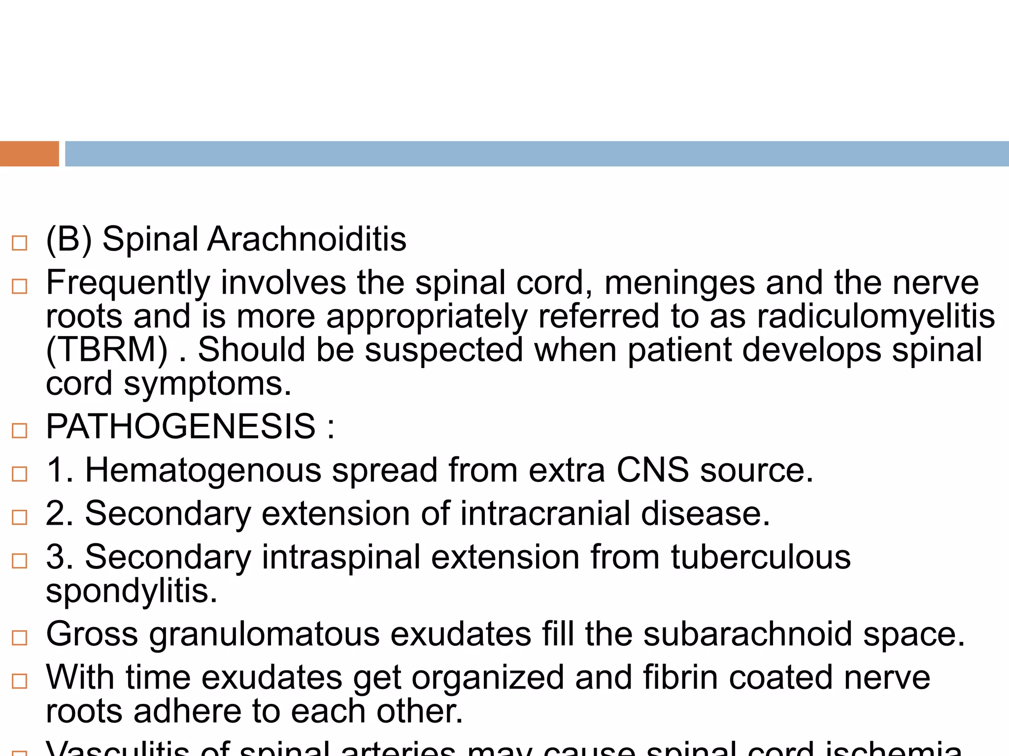 Spine presentation | PPT