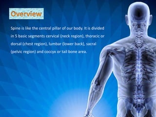Spine is like the central pillar of our body. It is divided
in 5 basic segments cervical (neck region), thoracic or
dorsal (chest region), lumbar (lower back), sacral
(pelvic region) and coccyx or tail bone area.
 