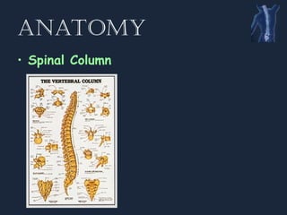 Spinal Presentation Spine__Spinal.........................ppt