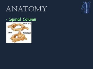 Spinal Presentation Spine__Spinal.........................ppt