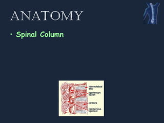 Spinal Presentation Spine__Spinal.........................ppt