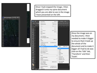 Once I had cropped the image, I then
dragged it onto my spine document
which you are able to see in the image
I have presented on the left.
Once the image was on
my document, I then
needed to make it bigger
to ensure that it took up
the whole of the
document and to make it
bigger all I had to do was
click on the ‘Edit’ tab,
‘Transform’ and then
‘Scale’.
 