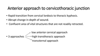 Anterior approach to cervicothoracic junction
• Rapid transition from cervical lordosis to thoracic kyphosis.
• Abrupt change in depth of wound.
• Confluent area of vital structures that are not readily retracted.
low anterior cervical approach
• 3 approaches high transthoracic approach
transsternal approach
 