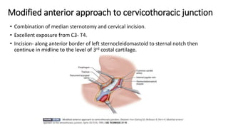 Modified anterior approach to cervicothoracic junction
• Combination of median sternotomy and cervical incision.
• Excellent exposure from C3- T4.
• Incision- along anterior border of left sternocleidomastoid to sternal notch then
continue in midline to the level of 3rd costal cartilage.
 