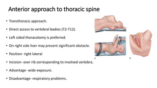 Anterior approach to thoracic spine
• Transthoracic approach.
• Direct access to vertebral bodies (T2-T12).
• Left sided thoracotomy is preferred.
• On right side liver may present significant obstacle.
• Position- right lateral
• Incision- over rib corresponding to involved vertebra.
• Advantage- wide exposure.
• Disadvantage- respiratory problems.
 
