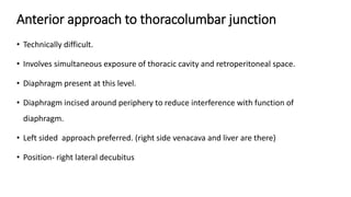 Anterior approach to thoracolumbar junction
• Technically difficult.
• Involves simultaneous exposure of thoracic cavity and retroperitoneal space.
• Diaphragm present at this level.
• Diaphragm incised around periphery to reduce interference with function of
diaphragm.
• Left sided approach preferred. (right side venacava and liver are there)
• Position- right lateral decubitus
 