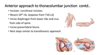 Anterior approach to thoracolumbar junction contd..
• Incision- curvilinear incision.
• Resect 10th rib. (exposes from T10-L2)
• Incise diaphragm from lower ribs and crus
from side of spine.
• Incise prevertebral fascia.
• Rest steps similar to transthoracic approach.
 