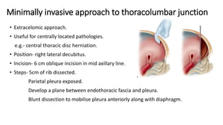 Minimally invasive approach to thoracolumbar junction
• Extracelomic approach.
• Useful for centrally located pathologies.
e.g.- central thoracic disc herniation.
• Position- right lateral decubitus.
• Incision- 6 cm oblique incision in mid axillary line.
• Steps- 5cm of rib dissected.
Parietal pleura exposed.
Develop a plane between endothoracic fascia and pleura.
Blunt dissection to mobilise pleura anteriorly along with diaphragm.
 