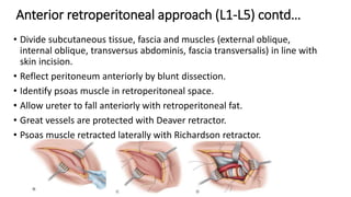 Anterior retroperitoneal approach (L1-L5) contd…
• Divide subcutaneous tissue, fascia and muscles (external oblique,
internal oblique, transversus abdominis, fascia transversalis) in line with
skin incision.
• Reflect peritoneum anteriorly by blunt dissection.
• Identify psoas muscle in retroperitoneal space.
• Allow ureter to fall anteriorly with retroperitoneal fat.
• Great vessels are protected with Deaver retractor.
• Psoas muscle retracted laterally with Richardson retractor.
 