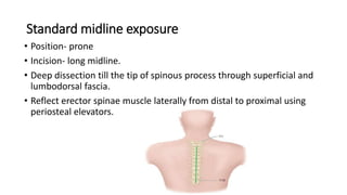Standard midline exposure
• Position- prone
• Incision- long midline.
• Deep dissection till the tip of spinous process through superficial and
lumbodorsal fascia.
• Reflect erector spinae muscle laterally from distal to proximal using
periosteal elevators.
 