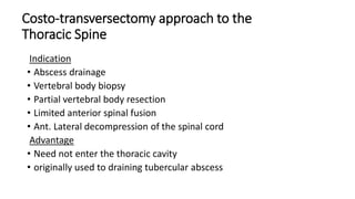 Costo-transversectomy approach to the
Thoracic Spine
Indication
• Abscess drainage
• Vertebral body biopsy
• Partial vertebral body resection
• Limited anterior spinal fusion
• Ant. Lateral decompression of the spinal cord
Advantage
• Need not enter the thoracic cavity
• originally used to draining tubercular abscess
 