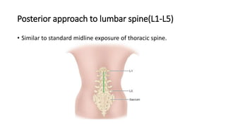 Posterior approach to lumbar spine(L1-L5)
• Similar to standard midline exposure of thoracic spine.
 