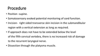 Procedure
• Position -supine.
• Somatosensory evoked potential monitoring of cord function.
• Incision- right sided transverse skin incision in the submandibular
region with a vertical extension as long as required.
• If approach does not have to be extended below the level
of the fifth cervical vertebra, there is no increased risk of damage
to the recurrent laryngeal nerve.
• Dissection through the platysma muscle.
 