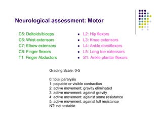 Neurological assessment: Motor
C5: Deltoids/biceps
C6: Wrist extensors
C7: Elbow extensors
C8: Finger flexors
T1: Finger Abductors
L2: Hip flexors
L3: Knee extensors
L4: Ankle dorsiflexors
L5: Long toe extensors
S1: Ankle plantar flexors
Grading Scale: 0-5
0: total paralysis
1: palpable or visible contraction
2: active movement; gravity eliminated
3: active movement: against gravity
4: active movement: against some resistance
5: active movement: against full resistance
NT: not testable
 