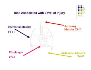 Intercostal Muscles
T1-11
Risk Associated with Level of Injury
Diaphragm
C3-5
Accessory
Muscles C1-7
Abdominal MusclesAbdominal Muscles
T6T6--1212
 