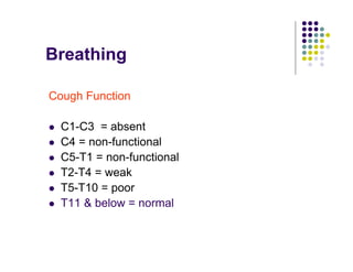 Breathing
Cough Function
C1-C3 = absent
C4 = non-functional
C5-T1 = non-functional
T2-T4 = weak
T5-T10 = poor
T11 & below = normal
 