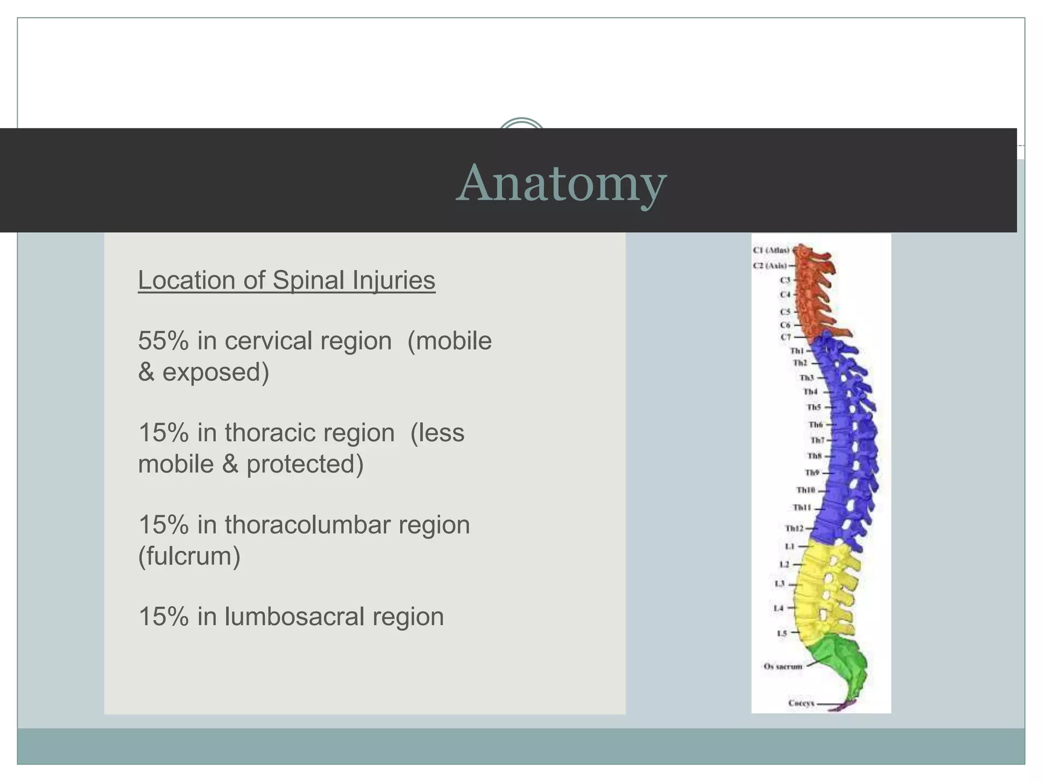 Anatomy
Location of Spinal Injuries
55% in cervical region (mobile
& exposed)
15% in thoracic region (less
mobile & protected)
15% in thoracolumbar region
(fulcrum)
15% in lumbosacral region
 