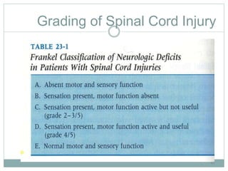 Markwalder Classification Spine trauma basics | PPTX