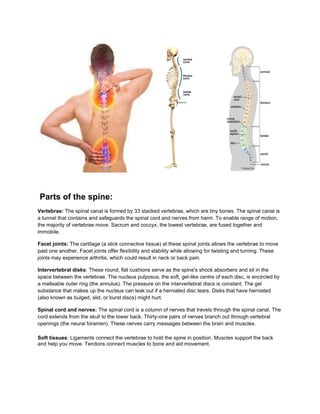 Parts of the spine:
Vertebrae: The spinal canal is formed by 33 stacked vertebrae, which are tiny bones. The spinal canal is
a tunnel that contains and safeguards the spinal cord and nerves from harm. To enable range of motion,
the majority of vertebrae move. Sacrum and coccyx, the lowest vertebrae, are fused together and
immobile.
Facet joints: The cartilage (a slick connective tissue) at these spinal joints allows the vertebrae to move
past one another. Facet joints offer flexibility and stability while allowing for twisting and turning. These
joints may experience arthritis, which could result in neck or back pain.
Intervertebral disks: These round, flat cushions serve as the spine's shock absorbers and sit in the
space between the vertebrae. The nucleus pulposus, the soft, gel-like centre of each disc, is encircled by
a malleable outer ring (the annulus). The pressure on the intervertebral discs is constant. The gel
substance that makes up the nucleus can leak out if a herniated disc tears. Disks that have herniated
(also known as bulged, slid, or burst discs) might hurt.
Spinal cord and nerves: The spinal cord is a column of nerves that travels through the spinal canal. The
cord extends from the skull to the lower back. Thirty-one pairs of nerves branch out through vertebral
openings (the neural foramen). These nerves carry messages between the brain and muscles.
Soft tissues: Ligaments connect the vertebrae to hold the spine in position. Muscles support the back
and help you move. Tendons connect muscles to bone and aid movement.
 