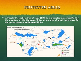 PROTECTED AREASPROTECTED AREAS
 A Special Protection Area of birds (SPA) is a protected area classified byA Special Protection Area of birds (SPA) is a protected area classified by
the members of the European Union as an area of great importance forthe members of the European Union as an area of great importance for
the conservation of endangered birds.the conservation of endangered birds.
 