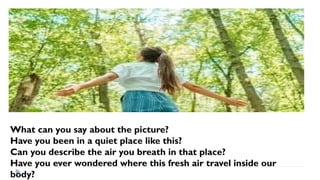 What can you say about the picture?
Have you been in a quiet place like this?
Can you describe the air you breath in that place?
Have you ever wondered where this fresh air travel inside our
body?
 