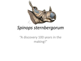 Spinops sternbergorum
 “A discovery 100 years in the
           making!”
 