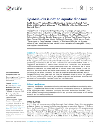 Sereno et al. eLife 2022;11:e80092. DOI: https://doi.org/10.7554/eLife.80092  1 of 44
Spinosaurus is not an aquatic dinosaur
Paul C Sereno1,2
*, Nathan Myhrvold3
, Donald M Henderson4
, Frank E Fish5
,
Daniel Vidal6
, Stephanie L Baumgart1
, Tyler M Keillor1
, Kiersten K Formoso7,8
,
Lauren L Conroy1
1
1Department of Organismal Biology, University of Chicago, Chicago, United
States; 2
Committee on Evolutionary Biology, University of Chicago, Chicago, United
States; 3
Intellectual Ventures, Bellevue, United States; 4
Royal Tyrrell Museum of
Palaeontology, Alberta, Canada; 5
Department of Biology, West Chester University,
West Chester, United States; 6
Grupo de Biología Evolutiva, UNED, Madrid, Spain;
7
Department of Earth Sciences, University of Southern California, Los Angeles,
United States; 8
Dinosaur Institute, Natural History Museum of Los Angeles County,
Los Angeles, United States
Abstract A predominantly fish-­
eating diet was envisioned for the sail-­
backed theropod dinosaur
Spinosaurus aegyptiacus when its elongate jaws with subconical teeth were unearthed a century
ago in Egypt. Recent discovery of the high-­
spined tail of that skeleton, however, led to a bolder
conjecture that S. aegyptiacus was the first fully aquatic dinosaur. The ‘aquatic hypothesis’ posits
that S. aegyptiacus was a slow quadruped on land but a capable pursuit predator in coastal waters,
powered by an expanded tail. We test these functional claims with skeletal and flesh models of S.
aegyptiacus. We assembled a CT-­
based skeletal reconstruction based on the fossils, to which we
added internal air and muscle to create a posable flesh model. That model shows that on land S.
aegyptiacus was bipedal and in deep water was an unstable, slow-­
surface swimmer (1 m/s) too
buoyant to dive. Living reptiles with similar spine-­
supported sails over trunk and tail are used for
display rather than aquatic propulsion, and nearly all extant secondary swimmers have reduced
limbs and fleshy tail flukes. New fossils also show that Spinosaurus ranged far inland. Two stages are
clarified in the evolution of Spinosaurus, which is best understood as a semiaquatic bipedal ambush
piscivore that frequented the margins of coastal and inland waterways.
Editor's evaluation
This article evaluates the hypothesis that Spinosaurus was a specialized aquatic dinosaur, by devel-
oping a CT-­
based skeletal restoration and examining its hydrodynamic properties. In this reappraisal
of the aquatic hypothesis, new results support the alternative semi-­
aquatic hypothesis. This
article will be of interest to vertebrate paleontologists and functional morphologists, as well as wider
academic and non-­
academic audiences.
Introduction
In 1915, Ernst von Stromer announced the discovery in Egypt’s Western Desert of the elongate jaws
and partial skeleton of a large sail-­
backed predator Spinosaurus aegyptiacus (Stromer, 1915). Other
bones found nearby (Stromer, 1934) contributed to his initial reconstruction of S. aegyptiacus as a
sail-­
backed, piscivorous biped (Stromer, 1936), shortly before all of these bones were destroyed in
World War II (Nothdurft et al., 2002; Smith et al., 2006). Over the last 30 years, additional skull and
postcranial bones came to light in western Morocco in beds of similar age to those in Egypt (Russell,
1996; Dal Sasso et al., 2005; Smyth et al., 2020; Ibrahim et al., 2020a). Central among these
RESEARCH ARTICLE
*For correspondence:
dinosaur@uchicago.edu
Competing interest: The authors
declare that no competing
interests exist.
Funding: See page 23
Preprinted: 26 May 2022
Received: 07 May 2022
Accepted: 05 October 2022
Published: 30 November 2022
Reviewing Editor: Min
Zhu, Institute of Vertebrate
Paleontology and
Paleoanthropology, Chinese
Academy of Sciences, China
‍ ‍Copyright Sereno et al. This
article is distributed under the
terms of the Creative Commons
Attribution License, which
permits unrestricted use and
redistribution provided that the
original author and source are
credited.
 