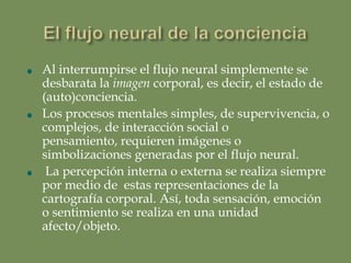 Ahora se piensa en una unidad causal cerebro-mente separada del resto del cuerpo. Este paradigma podría denominarse neurocentrismo, y fue anticipado por Spinoza.
