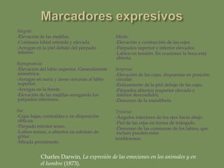 Acciones y pasionesAFECTOSACTIVOSAFECTOS PASIVOS(Se generan internamente)(Provienen de causas externas)Son necesariamente buenosSon buenos y/o malosMenguanla potenciaIncrementan la potenciaIncrementan la potencia de actuar yde pensarDeseoAlegríaAlegríaTristezaDeseo
