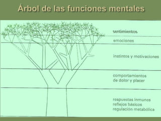 Zizek: el cine como máquina que nos eseña a desear<objectwidth="425" height="344"><paramname="movie" value="http://www.youtube.com/v/N-n9f-mGLT4&hl=es_MX&fs=1&"></param><param name="allowFullScreen" value="true"></param><paramname="allowscriptaccess" value="always"></param><embedsrc="http://www.youtube.com/v/N-n9f-mGLT4&hl=es_MX&fs=1&" type="application/x-shockwave-flash" allowscriptaccess="always" allowfullscreen="true" width="425" height="344"></embed></object>