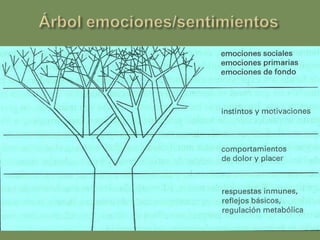 Tres pasiones primariasDESEO: (conatus) es la esencia misma del hombre, en cuanto se concibe determinada por cualquier afección suya a hacer algo. Si sólo se refiere a la mente se llama voluntad; cuando se refiere a la mente y al cuerpo, apetito. El deseo es el apetito con conciencia de sí mismo. ALEGRÍA: pasión por la que la mente pasa hacia una mayor perfección. Placer: sensación de mayor perfección de una parte del cuerpo.Regocijo: sensación de  mayor perfección generalizada.TRISTEZA: pasión por la que la mente pasa hacia una menor perfección.Dolor: sensación de menor perfección de una parte del cuerpo.Melancolía: sensación de menor perfección generalizada.