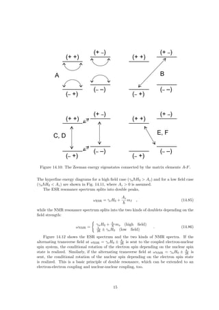 (+ +)
(– +)
(– –)
(+ –)
E, F
(+ +)
(– +)
(– –)
(+ –)
(+ +)
(– +)
(– –)
(+ –)
(+ +)
(– +)
(– –)
(+ –)
C, D
A B
Figure 14.10: The Zeeman energy eigenstates connected by the matrix elements A-F.
The hyperfine energy diagrams for a high field case (γnh̄H0 > Az) and for a low field case
(γnh̄H0 < Az) are shown in Fig. 14.11, where Az > 0 is assumed.
The ESR resonance spectrum splits into double peaks,
ωESR = γeH0 +
Az
h̄
mI , (14.85)
while the NMR resonance spectrum splits into the two kinds of doublets depending on the
field strength:
ωNMR =
(
γnH0 + Az
h̄ ms (high field)
Az
2h̄ ± γnH0 (low field)
. (14.86)
Figure 14.12 shows the ESR spectrum and the two kinds of NMR spectra. If the
alternating transverse field at ωESR = γeH0 ± Az
2h̄ is sent to the coupled electron-nuclear
spin system, the conditional rotation of the electron spin depending on the nuclear spin
state is realized. Similarly, if the alternating transverse field at ωNMR = γnH0 ± Az
2h̄ is
sent, the conditional rotation of the nuclear spin depending on the electron spin state
is realized. This is a basic principle of double resonance, which can be extended to an
electron-electron coupling and nuclear-nuclear coupling, too.
15
 