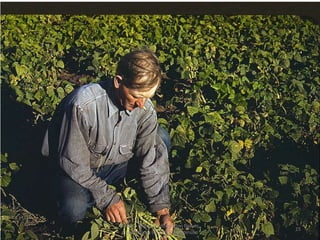 How to improve information flow in
                                       15
organizations (c) 2011 Clay Spinuzzi
 