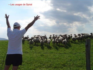 Suite
Contexte
– Les usages de Spiral
 
