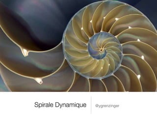 Spirale Dynamique @ygrenzinger
 