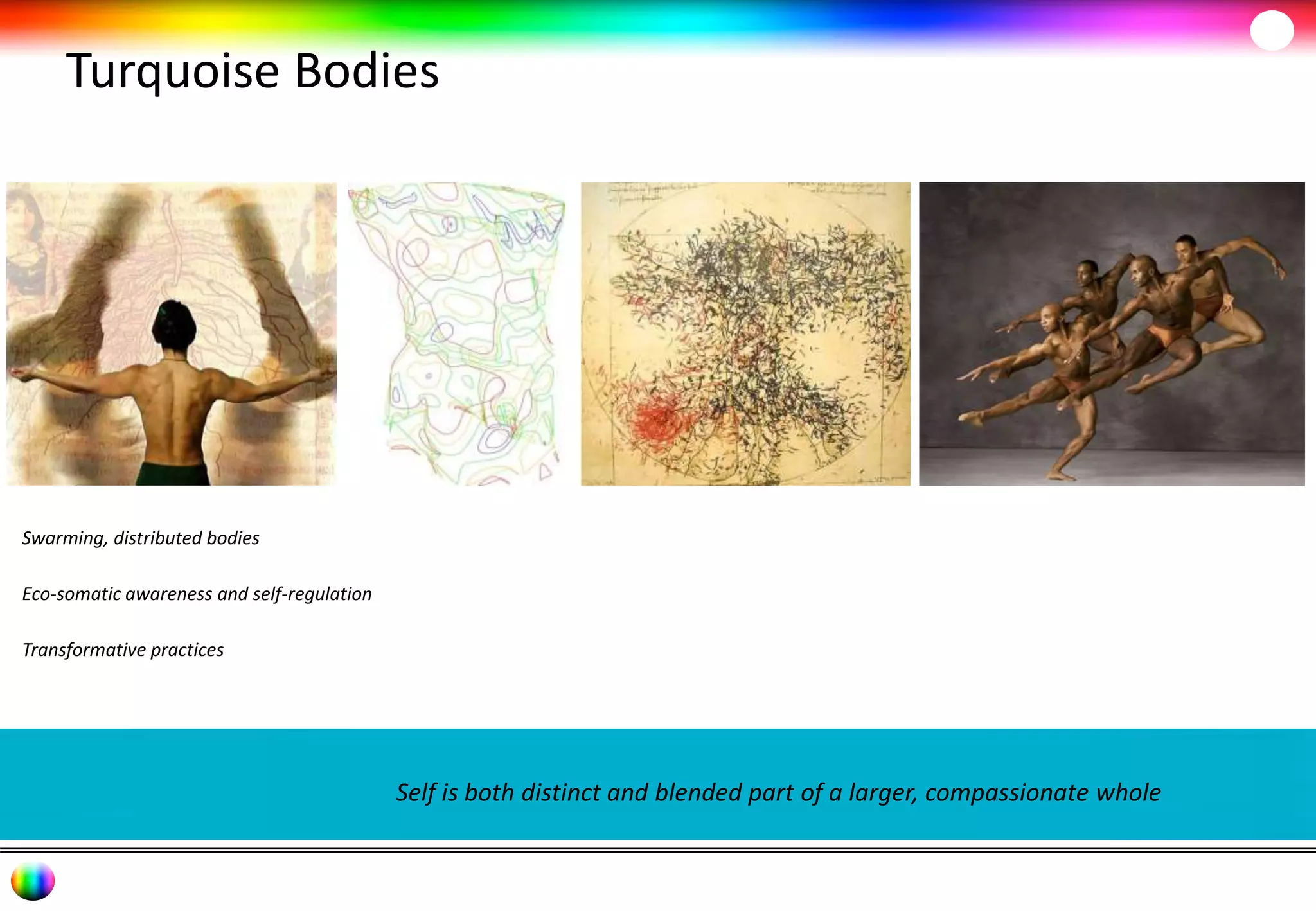 Turquoise Bodies 
Self is both distinct and blended part of a larger, compassionate whole 
Swarming, distributed bodies 
Eco-somatic awareness and self-regulation 
Transformative practices 
 