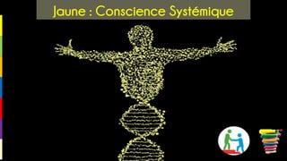 Jaune : Conscience Systémique
 