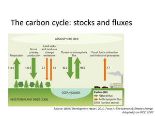 Cities and Low Carbon Planning | PDF