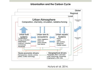 Cities and Low Carbon Planning | PDF