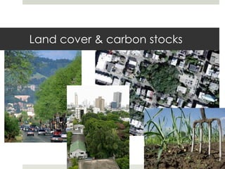 Cities and Low Carbon Planning | PDF