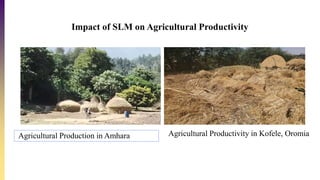 Sustainable Land Management Practices in Amhara and Oromia Regions