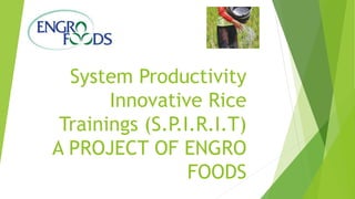 System Productivity
Innovative Rice
Trainings (S.P.I.R.I.T)
A PROJECT OF ENGRO
FOODS
 