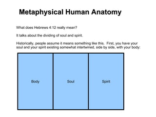 What does Hebrews 4:12 really mean? It talks about the dividing of soul and spirit. Historically, people assume it means something like this.  First, you have your soul and your spirit existing somewhat intertwined, side by side, with your body: Body Spirit Soul Metaphysical Human Anatomy 